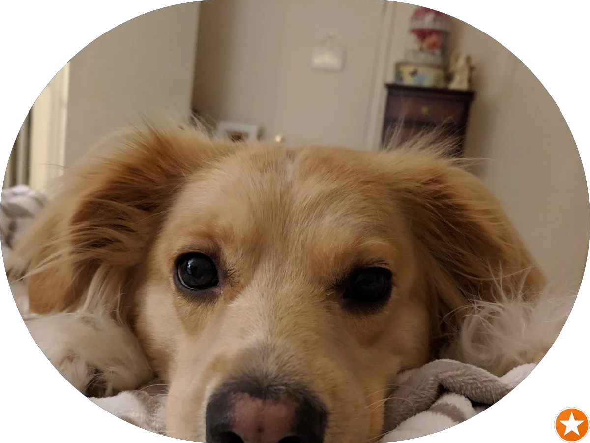 Let's B Media photo 5