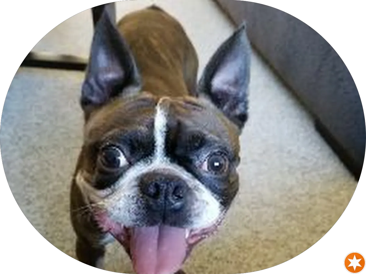 Levao Massage Spa photo 3