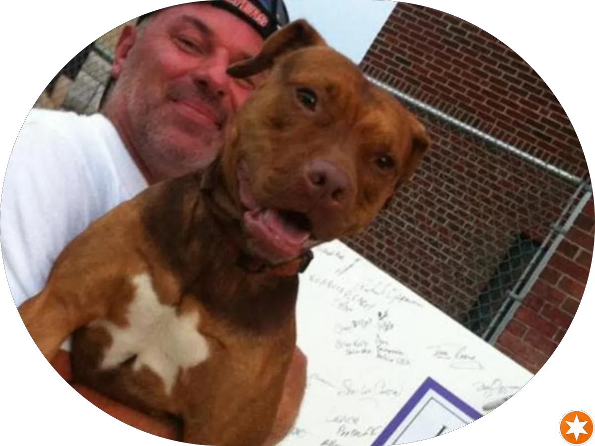 Levao Massage Spa photo 5