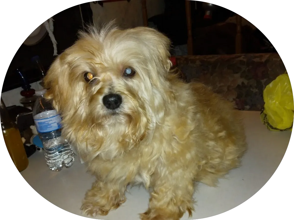 Lighthouse Medical Care photo 2