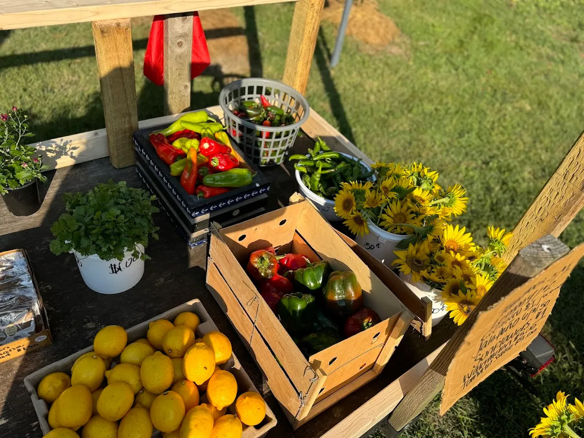 Lil Sunshine Farm Stand