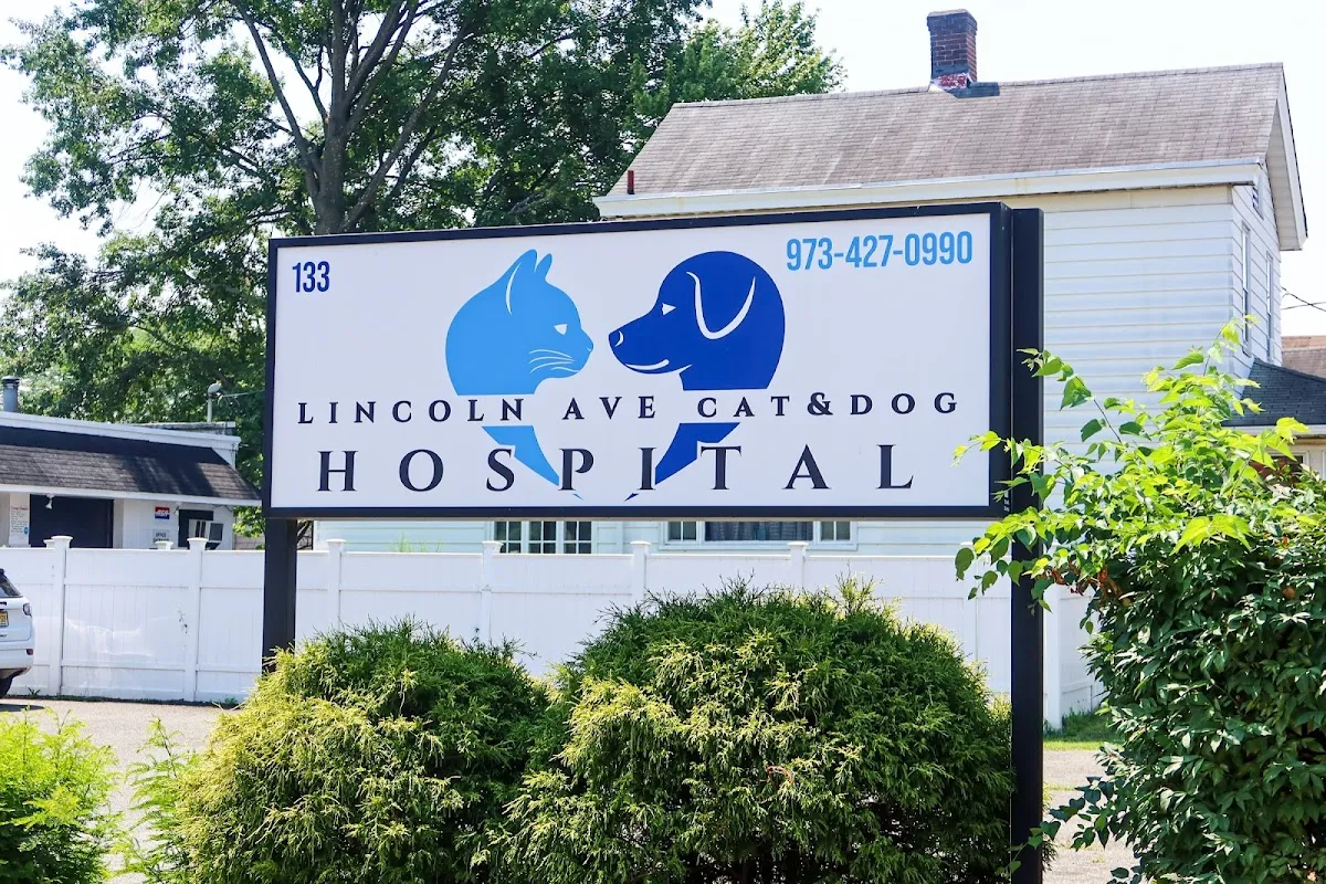 Lincoln Avenue Cat & Dog Hospital photo 3