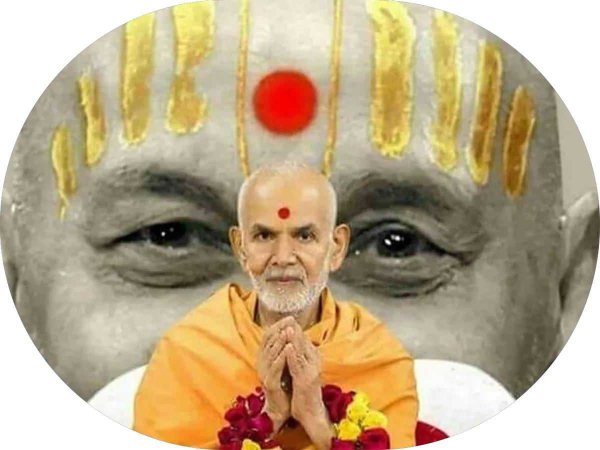 LiquorX Bar & Package Spirits photo 3