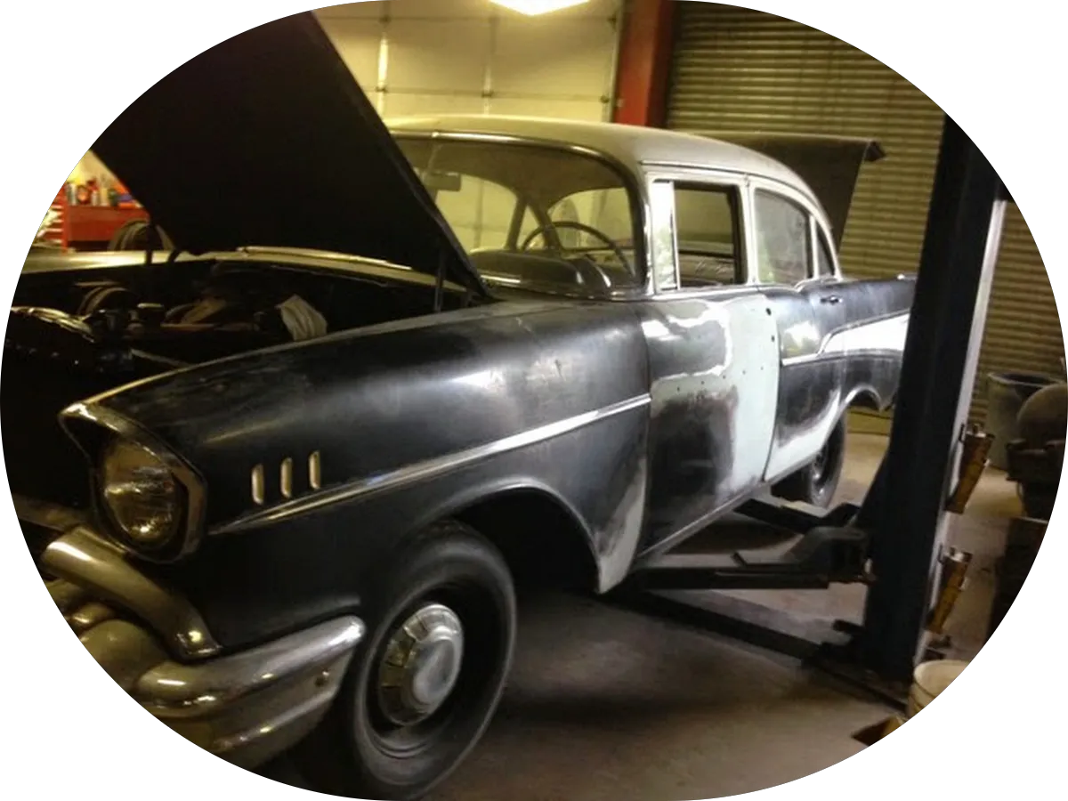 Lisa Aumiller, DVM, HousePaws Mobile Veterinary Service photo 5