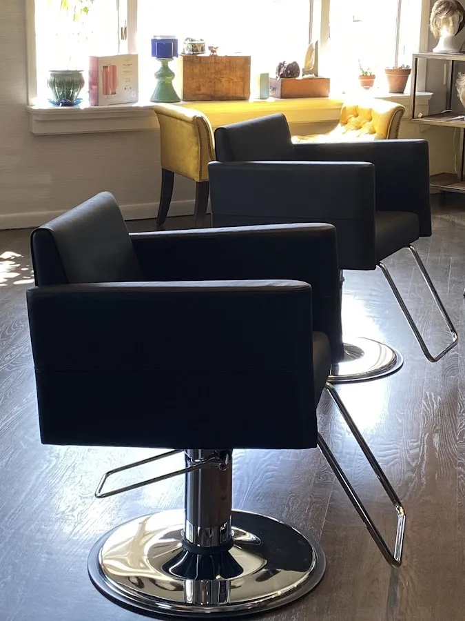 Lisa Michaels Retro Salon photo 3