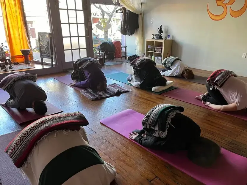 Live in Joy Yoga & Wellness photo 3