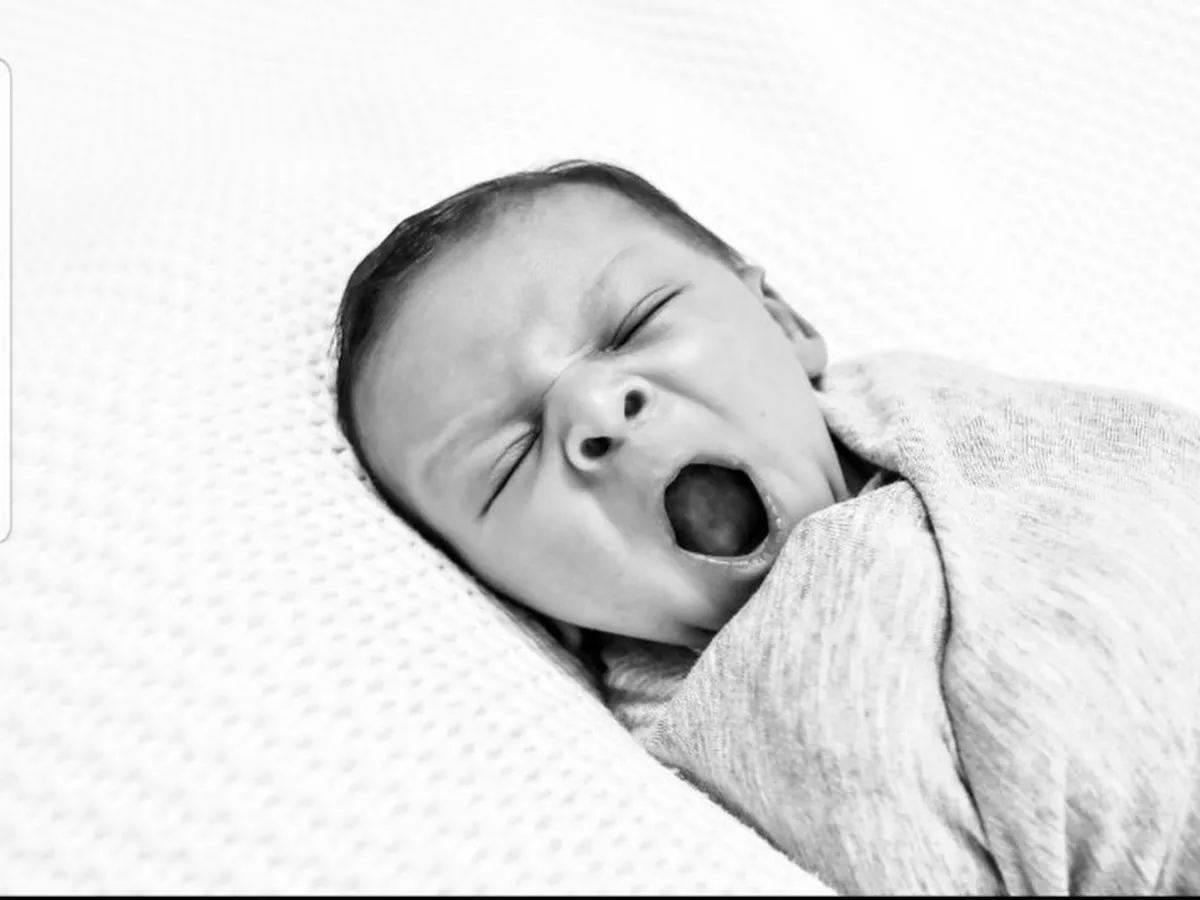 Lobando Images photo 4