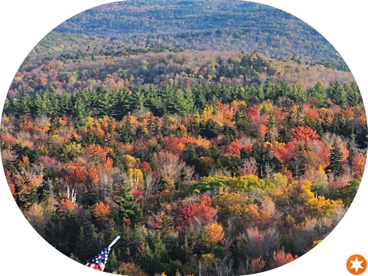 Local City Locksmith photo 5