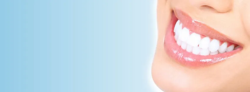 Lodi Family Dental Care: Stave Mitchell L DDS photo 2