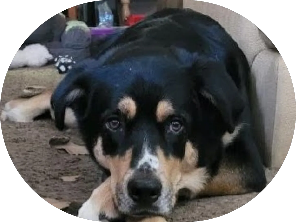 Logan Lending Group, Inc. photo 4