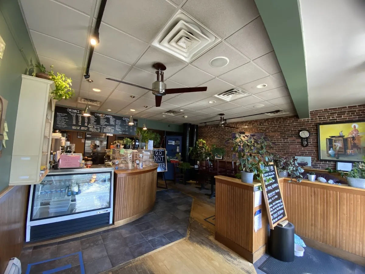 Lone Gull Coffee House photo 2