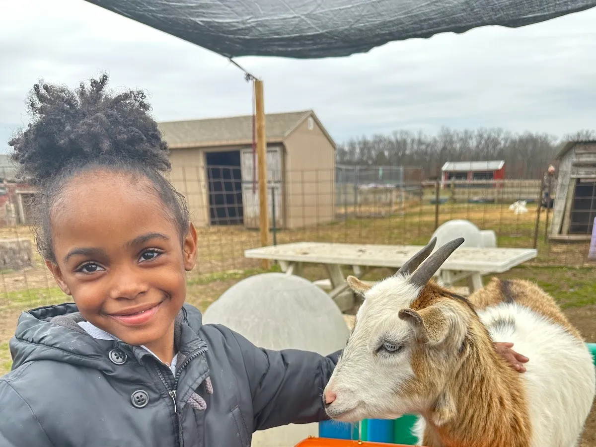 Lots of Love Farm Animal Sanctuary