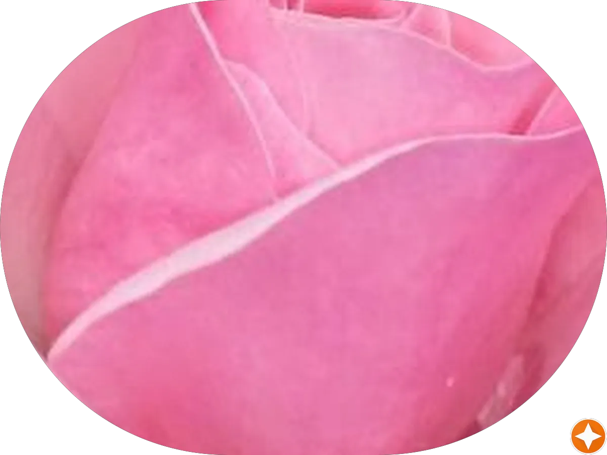 Louis's Hair Salon photo 2