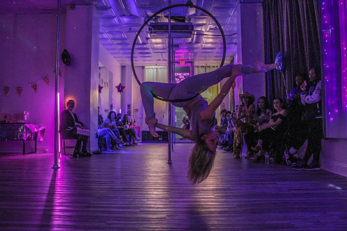 Lovely Lioness Pole Dance & Aerial Fitness
