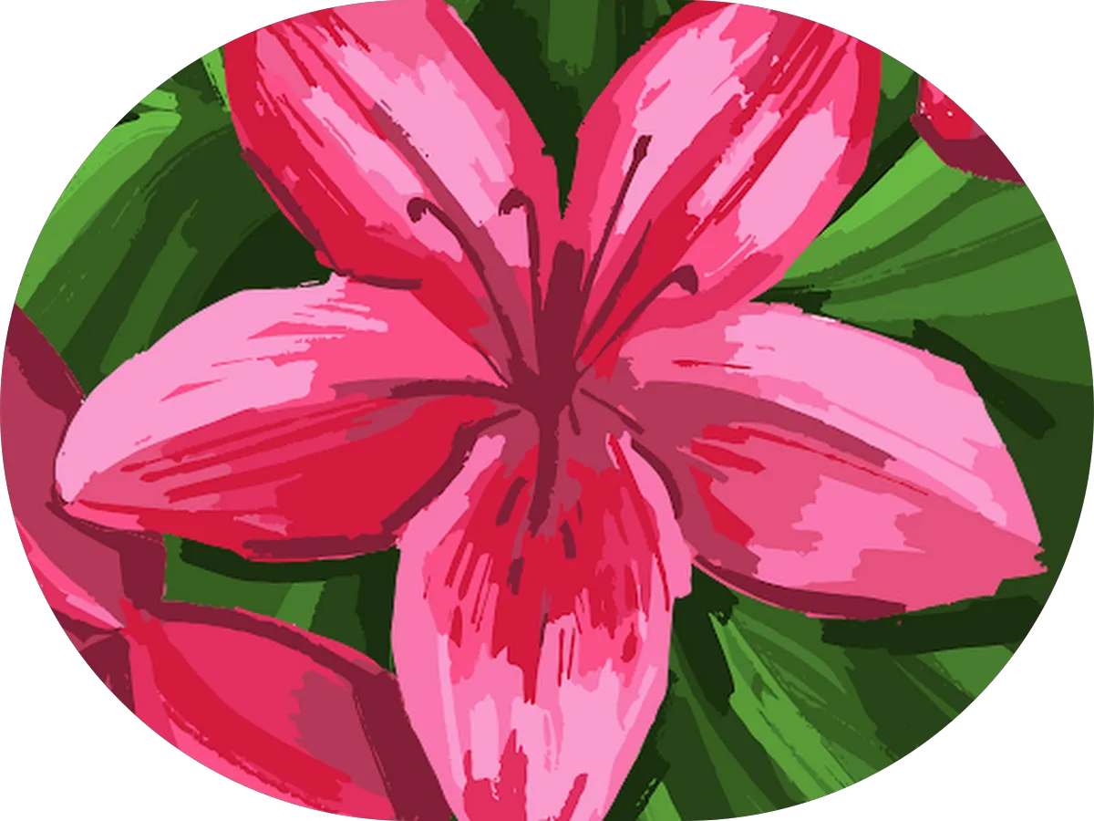 lton Clean Team photo 5