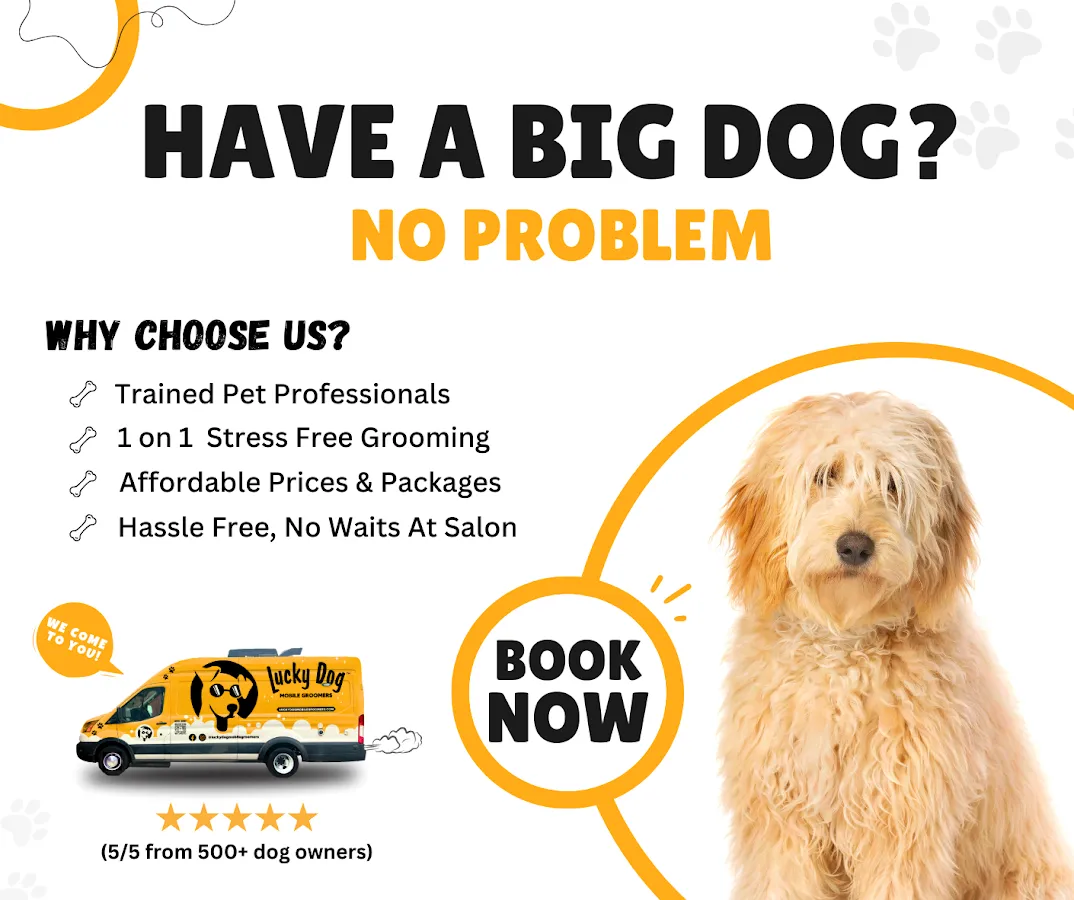 Lucky Dog Mobile Groomers - New Jersey photo 2