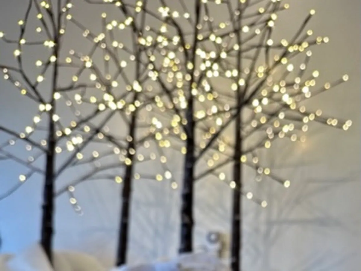 Luminary Coffee photo 2