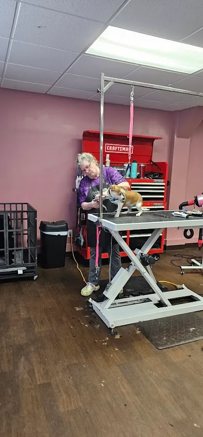 Luv This Puppa Pet Grooming photo 2