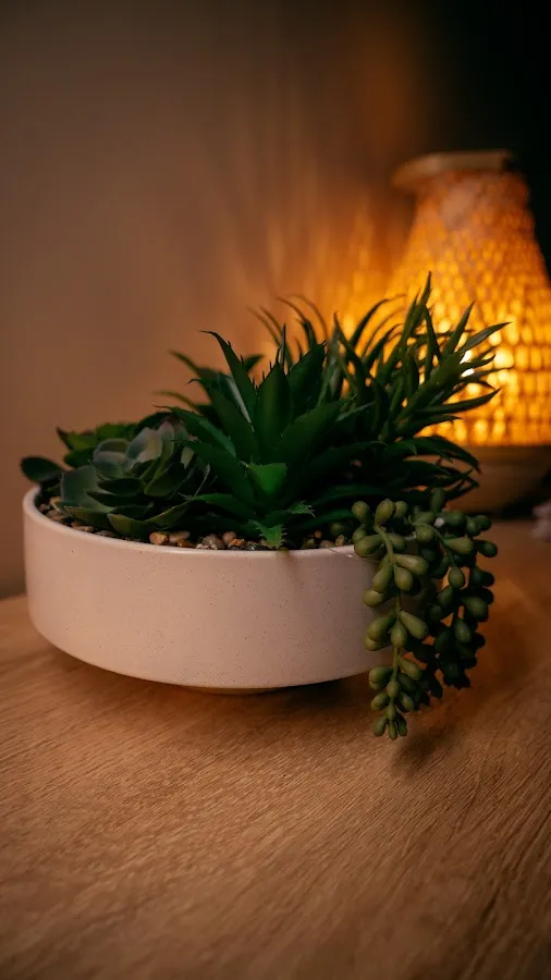 Lux Wellness massage & spa photo 2