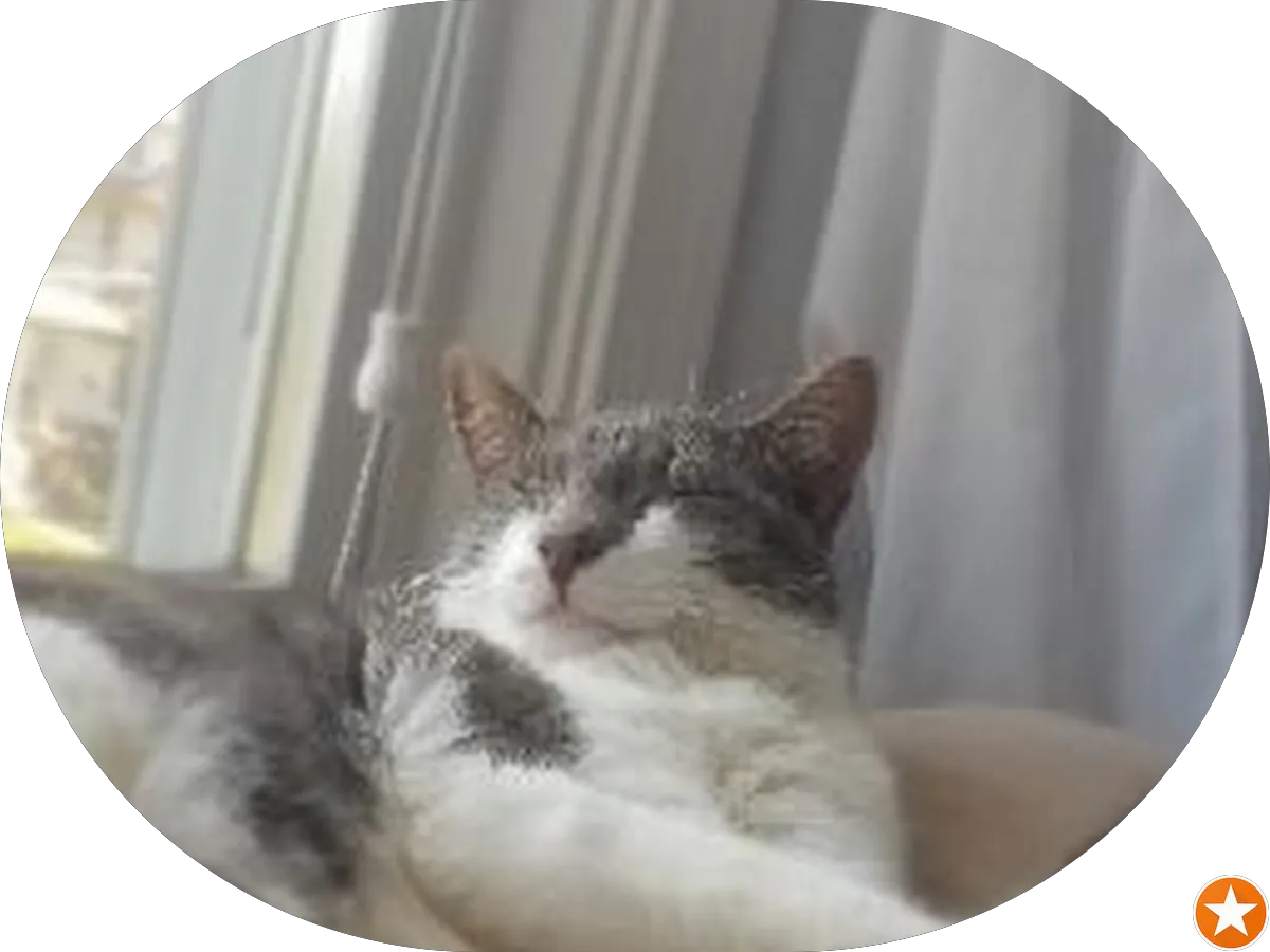 Luxuria Medical Spa & Laser Center Laser Tattoo Removal photo 5