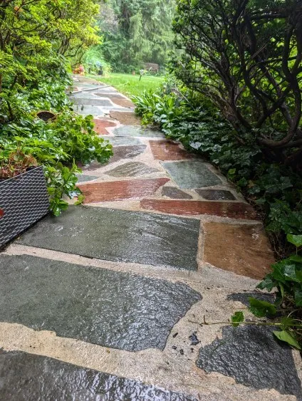 Mack Glass And Gutters photo 2