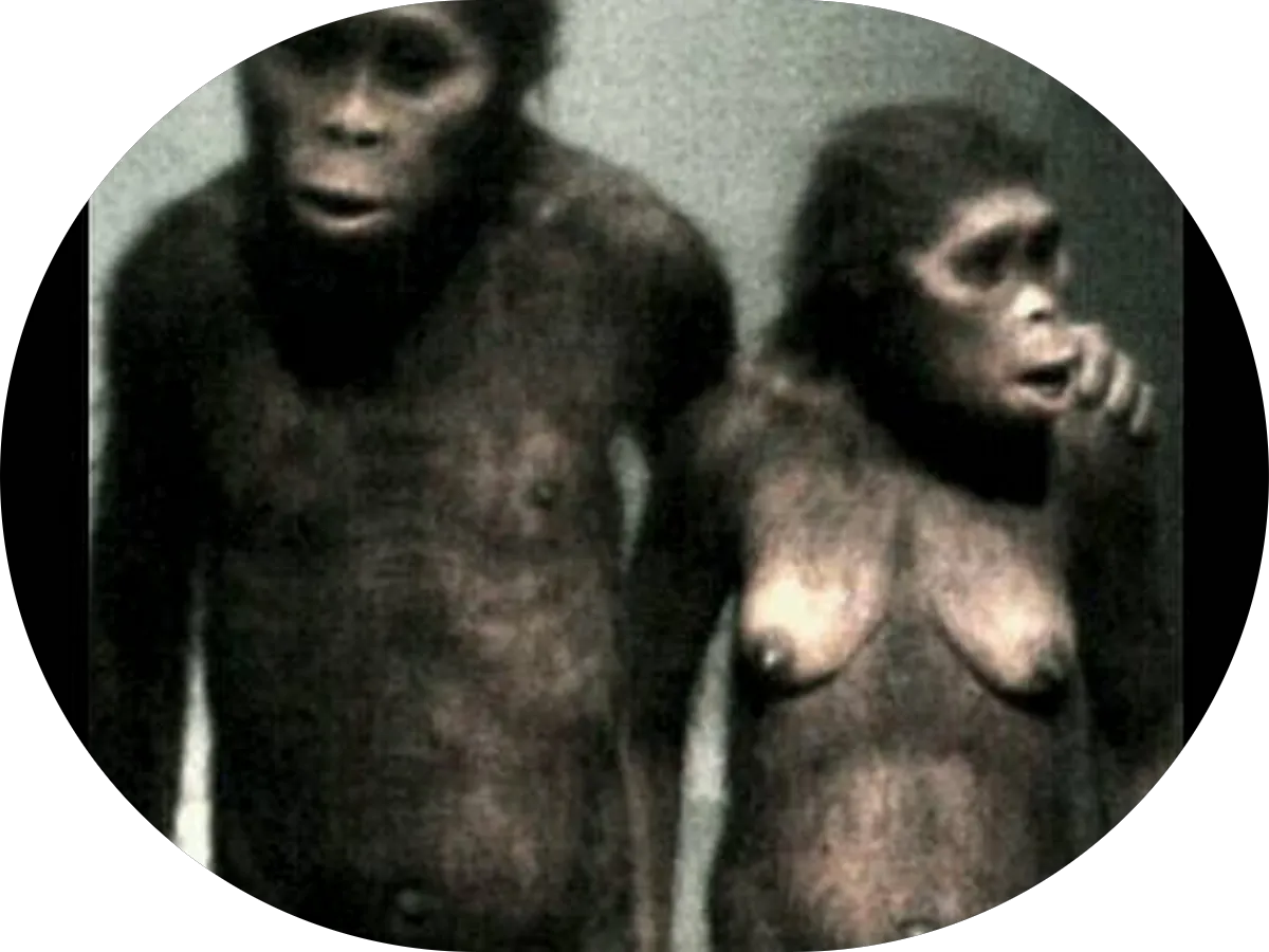 Macs Mobile Detailing LLC photo 4