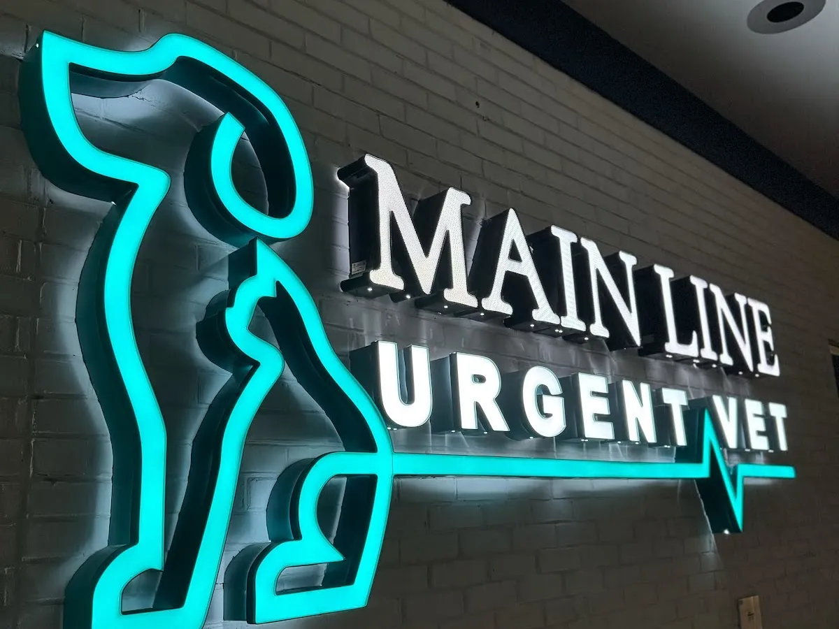 Main Line Urgent Vet