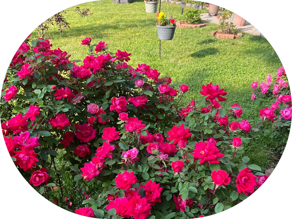 Mainland Financial Inc photo 3