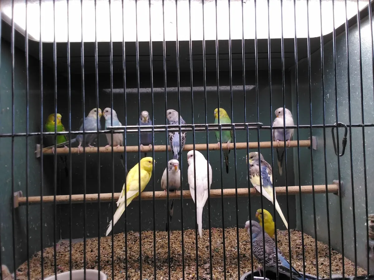 Major League Exotic Pets photo 2