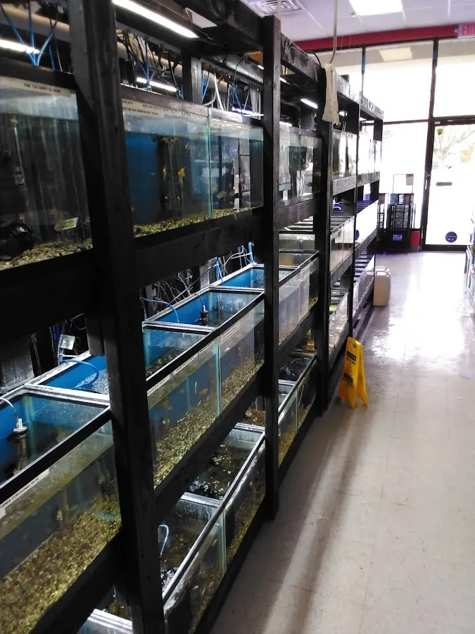 Major League Exotic Pets photo 4