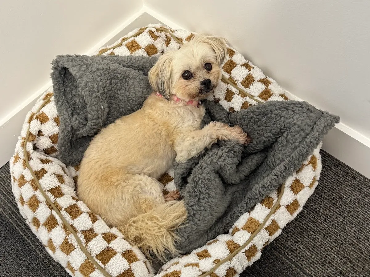 Maplewood Animal Hospital