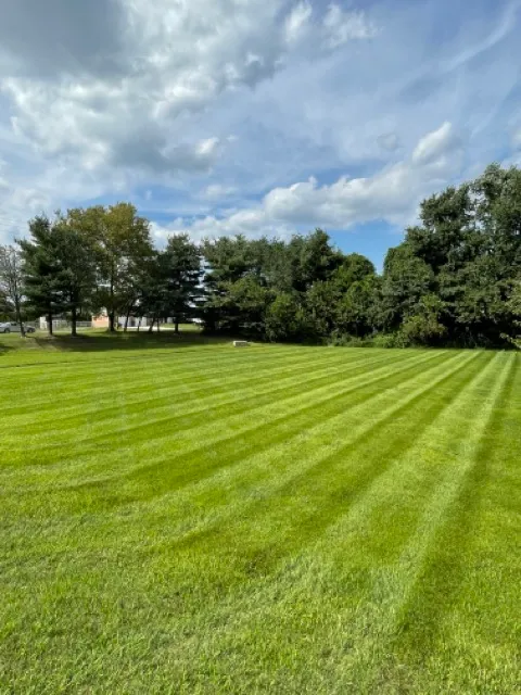 Marcos Lawn Care photo 2