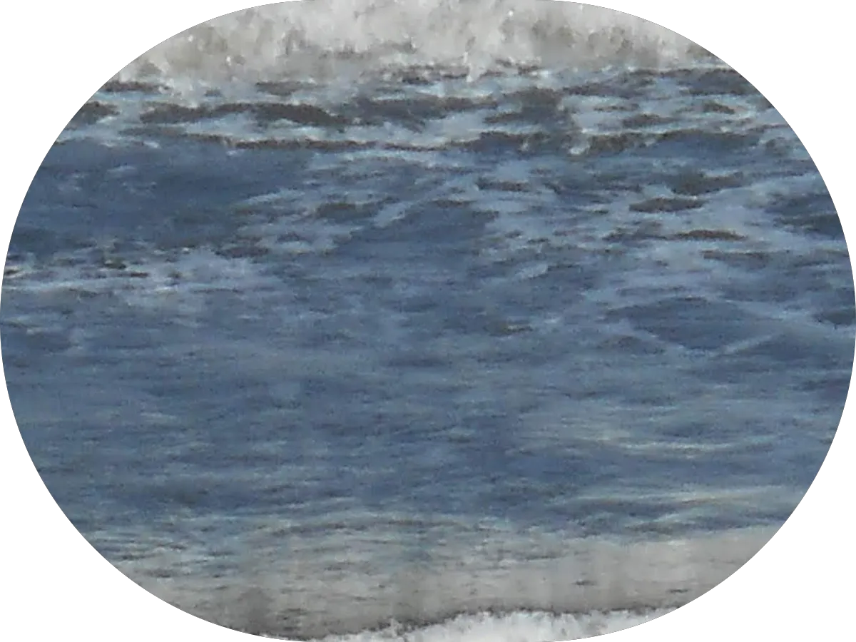 Marcy Kurz, Realtor photo 3