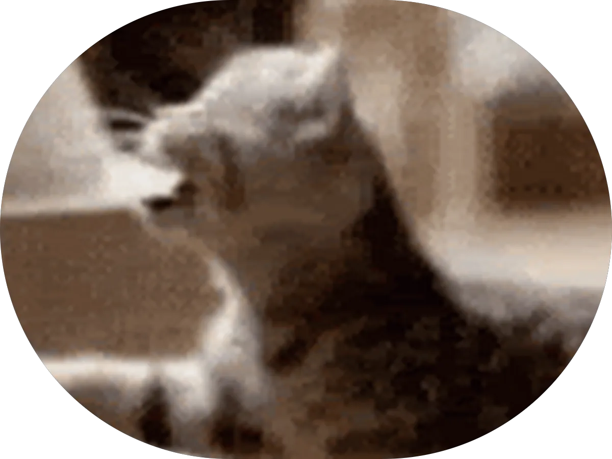 Maria Nunez - Aflac Insurance Agent