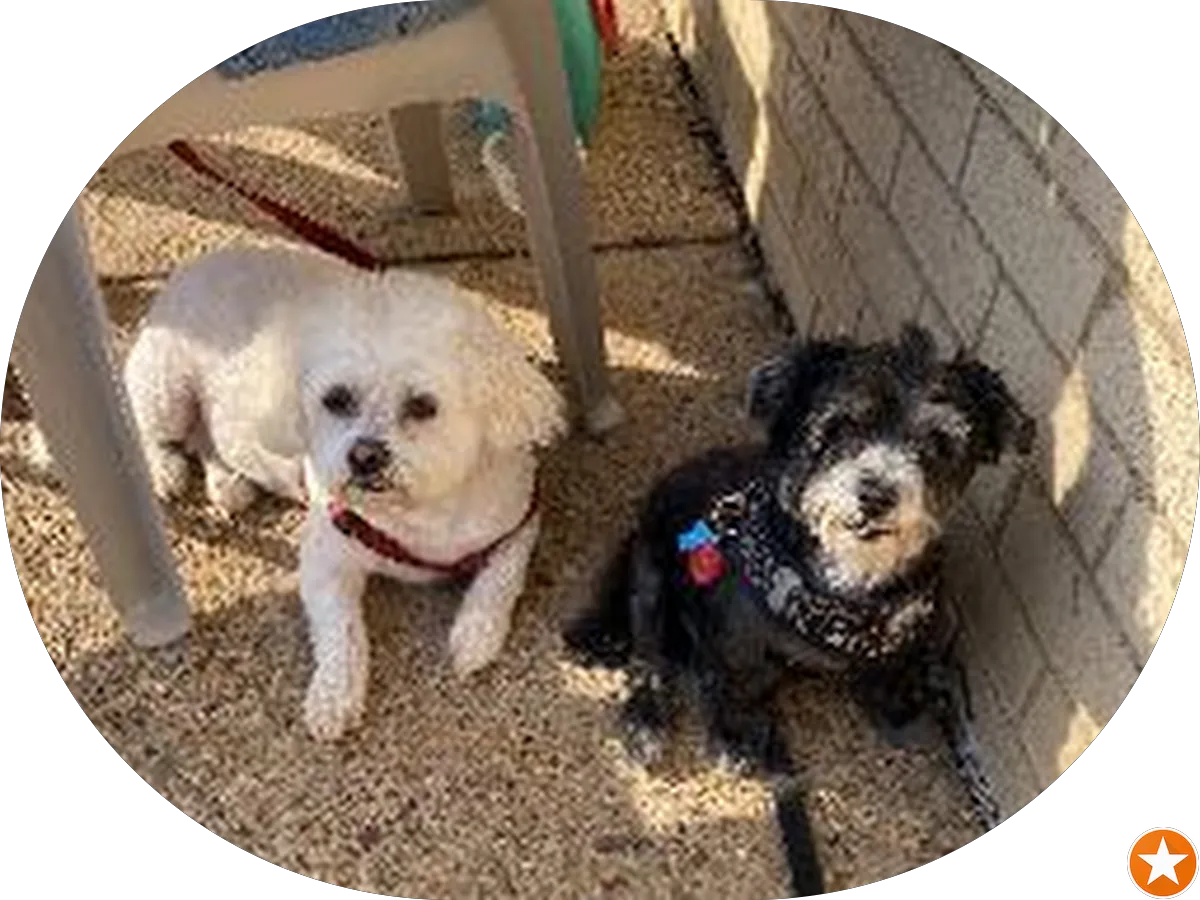 Mariner Finance photo 3