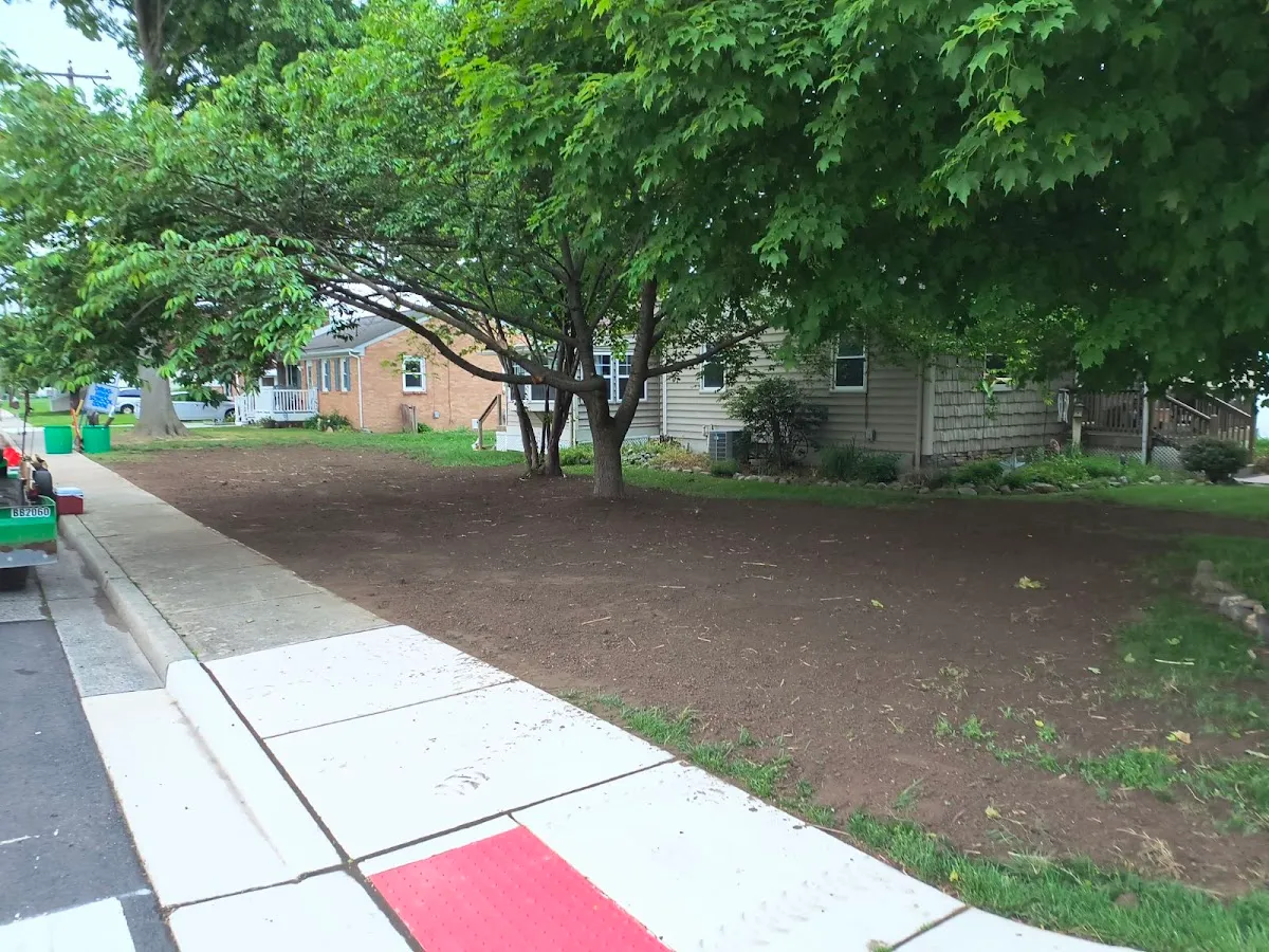 Marino's Landscaping photo 2