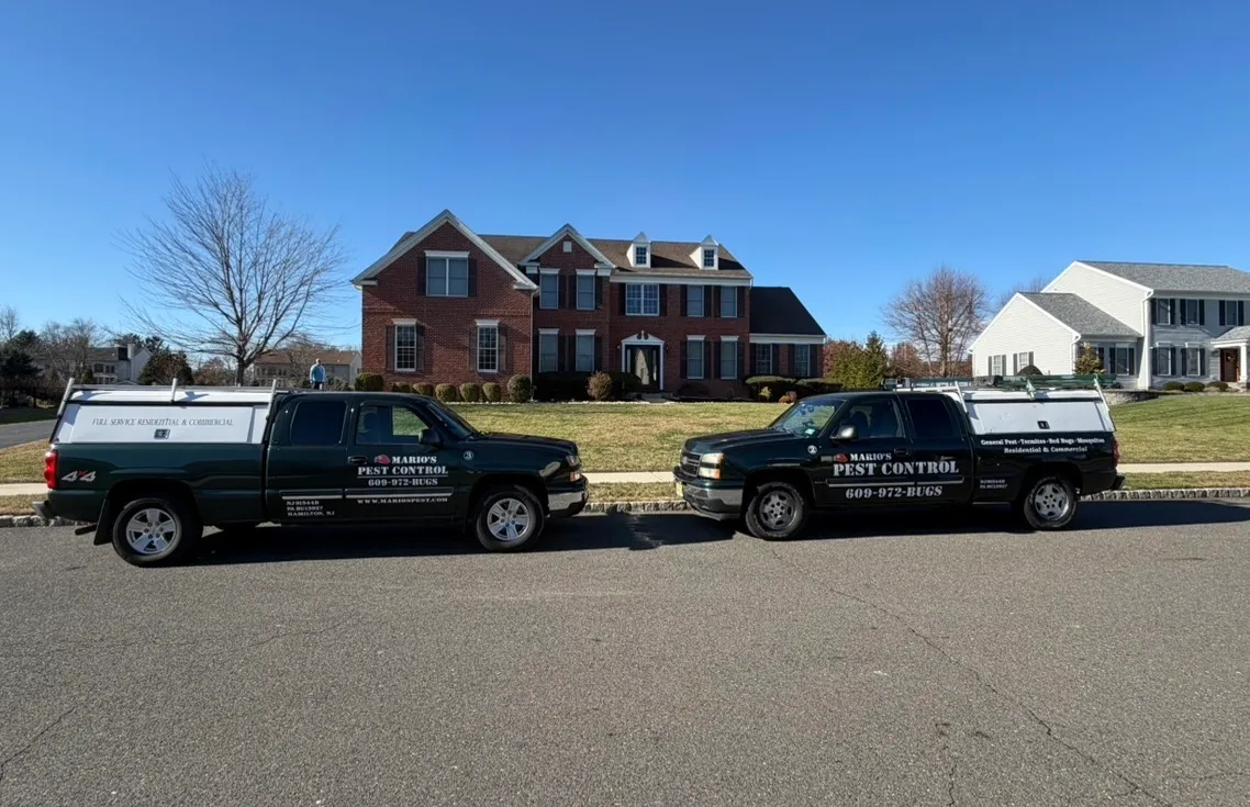 Mario's Pest Control photo 2