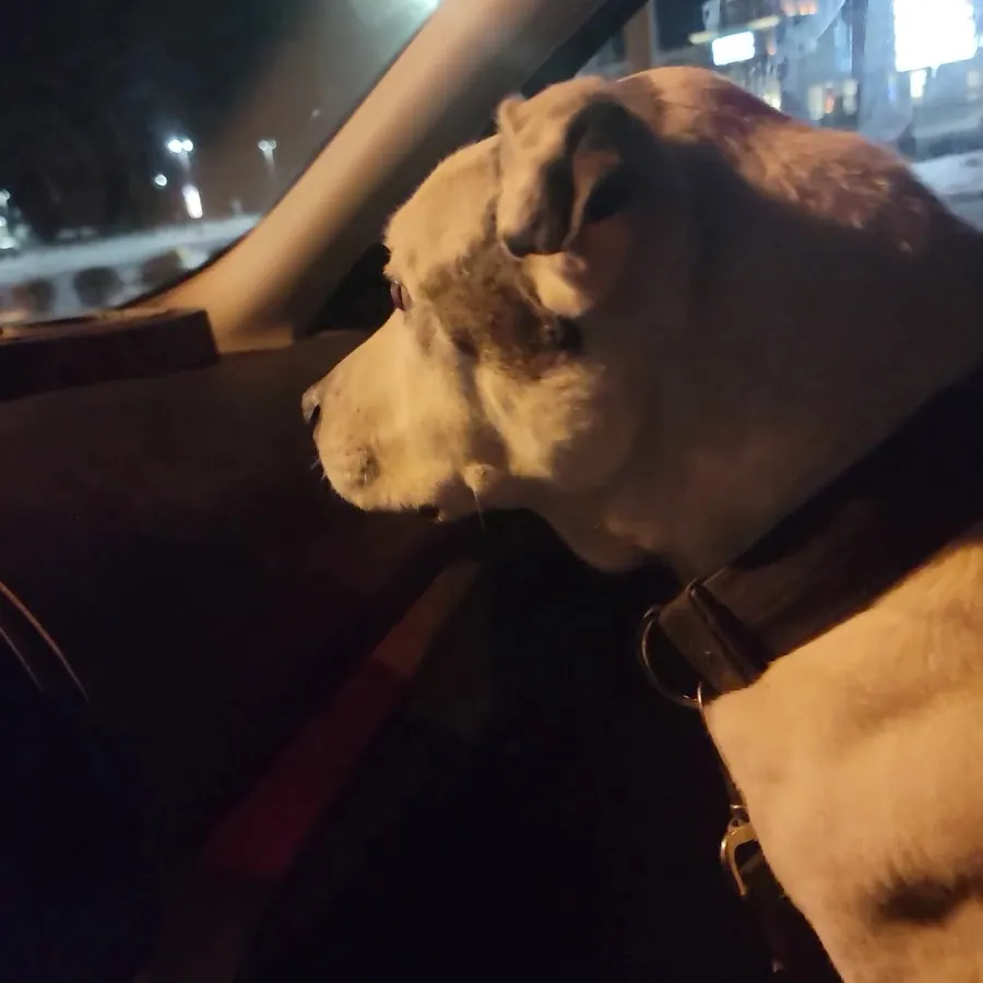 Marlton Greene Shopping Center photo 4