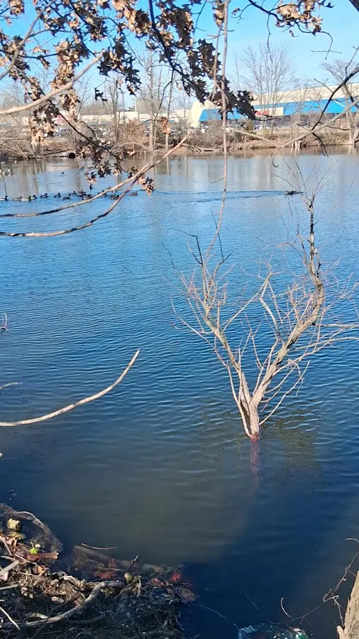 Marshalls & HomeGoods photo 2