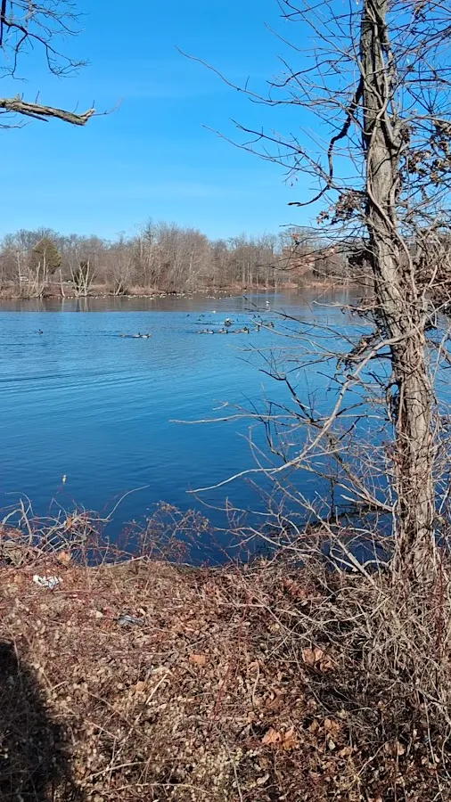 Marshalls & HomeGoods photo 3