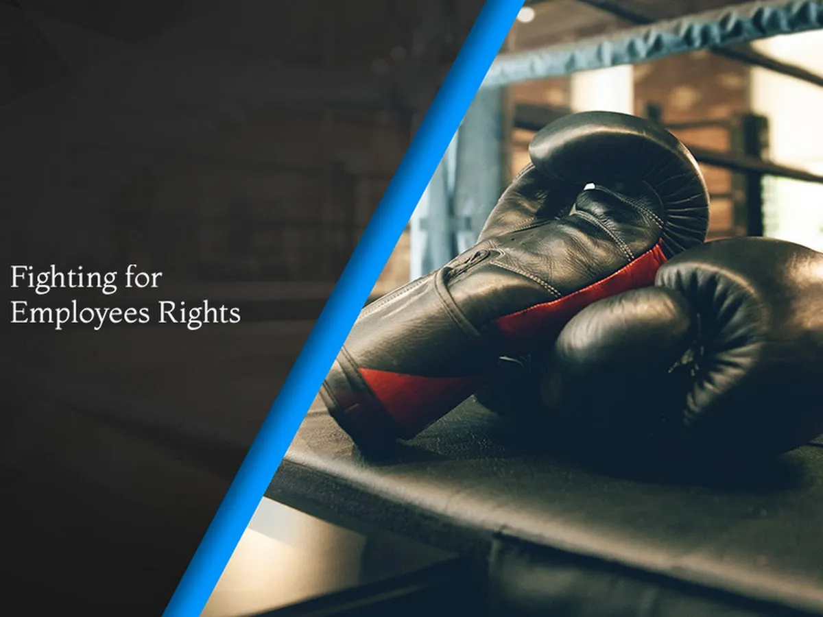 Martin Gunn & Martin photo 5