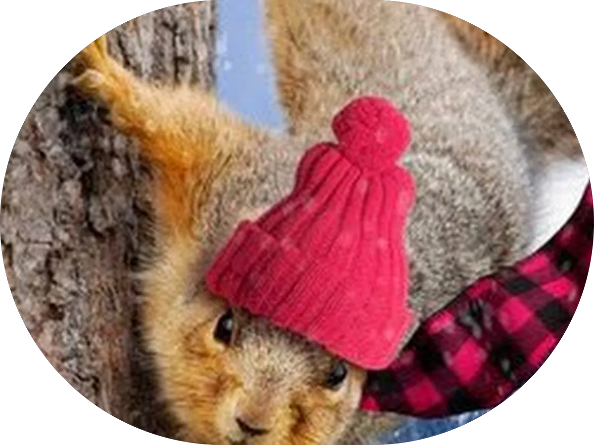 Marty Moves You Realty photo 5