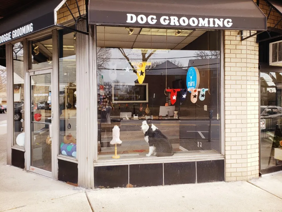 MARU Doggie Grooming photo 4