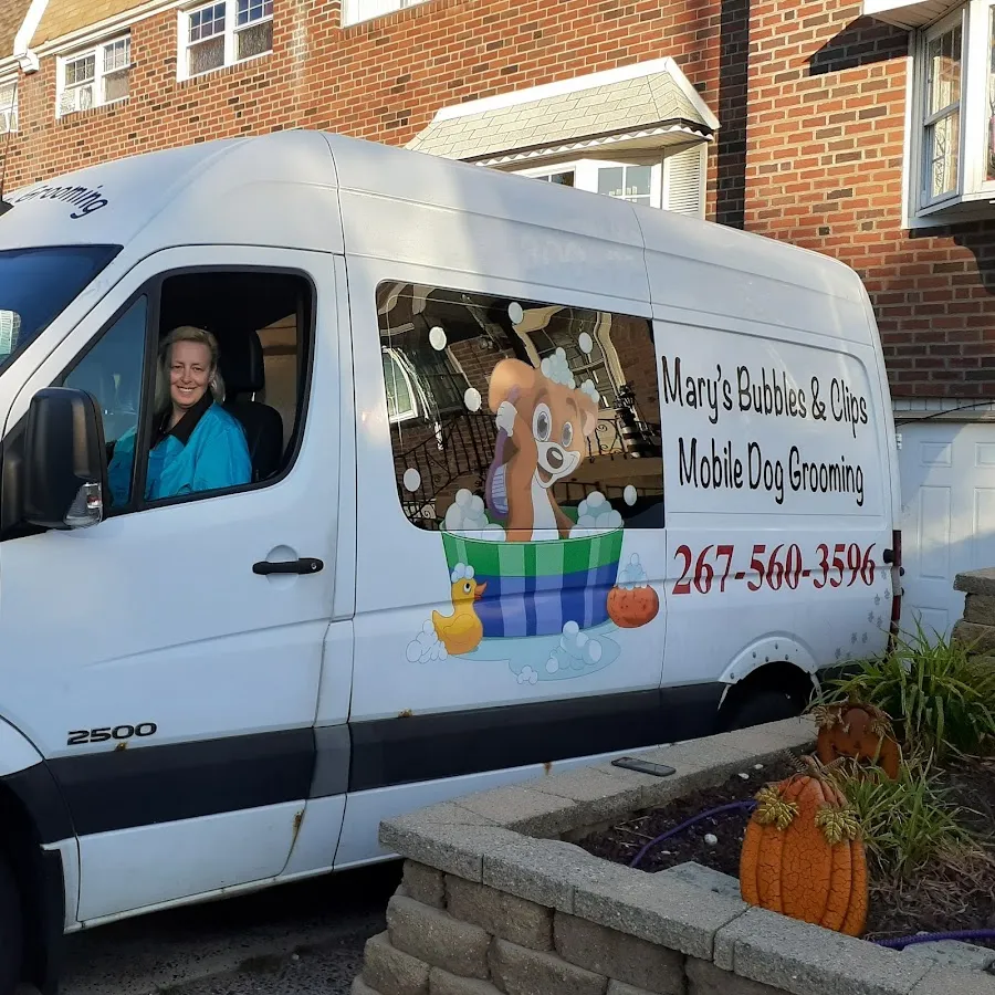 Mary's Bubbles and Clips