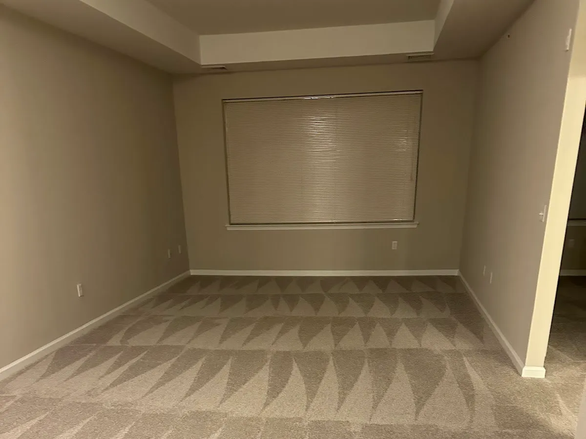 Master Carpet photo 2