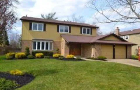 MasterMind Lawn Services photo 3