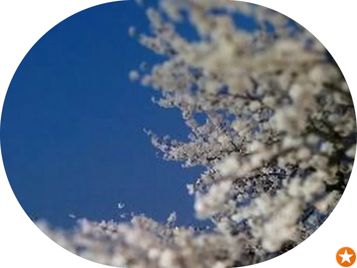 Masuko Realty photo 2