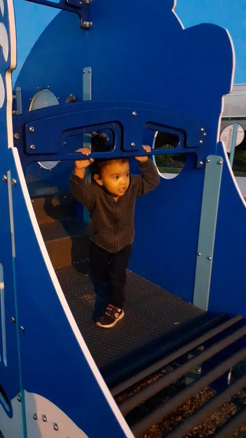 Matador Oceanfront Resort photo 3