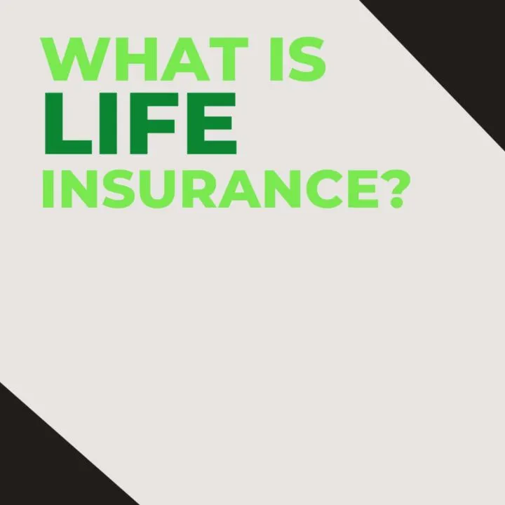 Matlack & Company photo 5