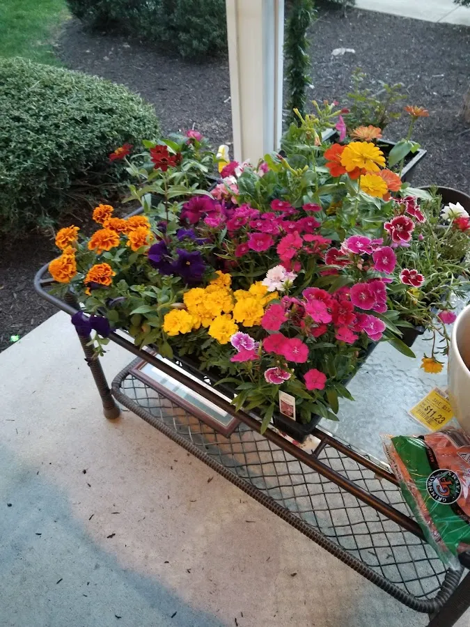 Mayhew Greenhouses & Nursery